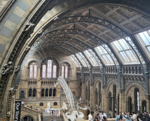 Beeindruckende Architektur in der großen Halle des Natural History Museum