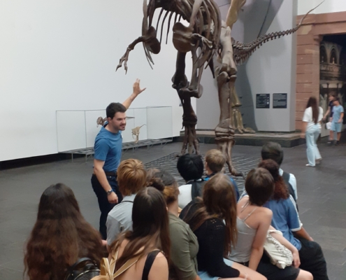 Blick auf die berühmten Dinosaurier-Exponate im Senckenbergmuseum
