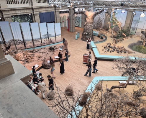 Eintauchen in die Tierwelten Schüler der Klassenstufe 8 betrachten ein großes Diorama im Museum Koenig