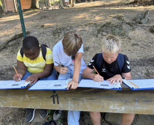 Konzentration bei den Beobachtungsaufgaben im Zoo Neuwied