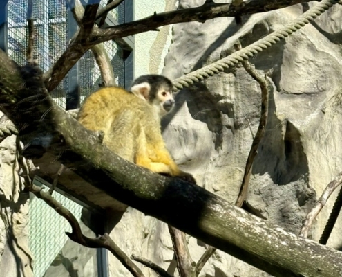Tierische Begegnung im Zoo Neuwied