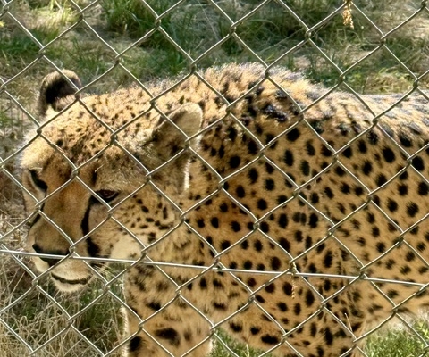 Tierische Begegnung im Zoo Neuwied